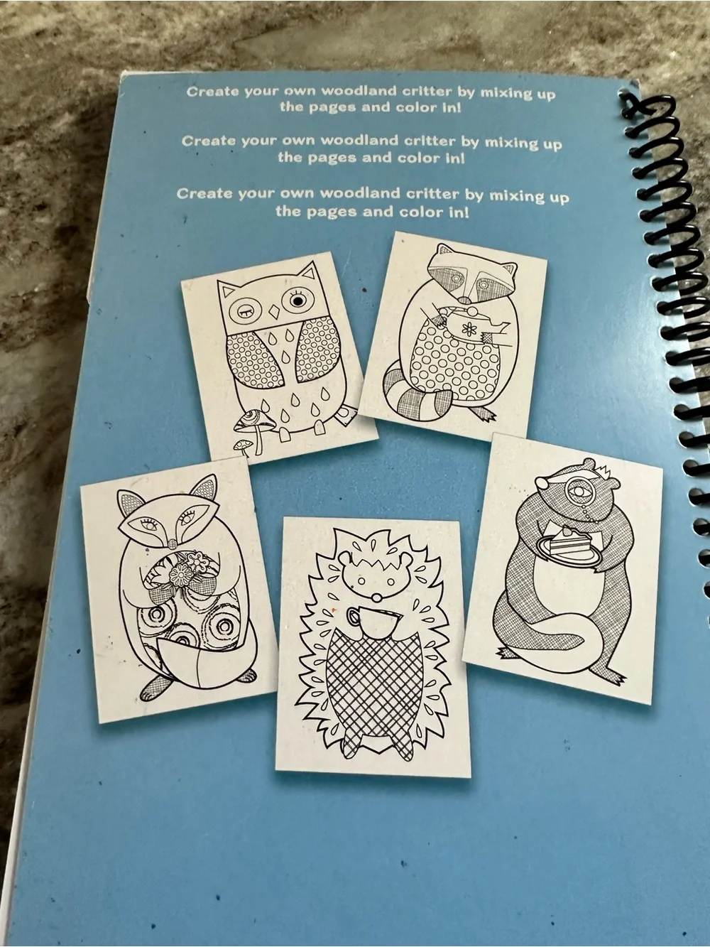 Color & Flip Book Spiral coloring Notebook with Playful Owl Design